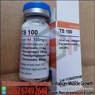 Hepius TS (testosterono pakaba) 100 mg CAS: 58-22-0