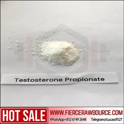 Aukščiausios kokybės neapdorotų miltelių testosterono propionatas CAS: 57-85-2